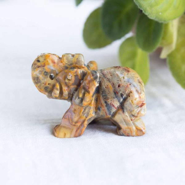 Jasper elephant