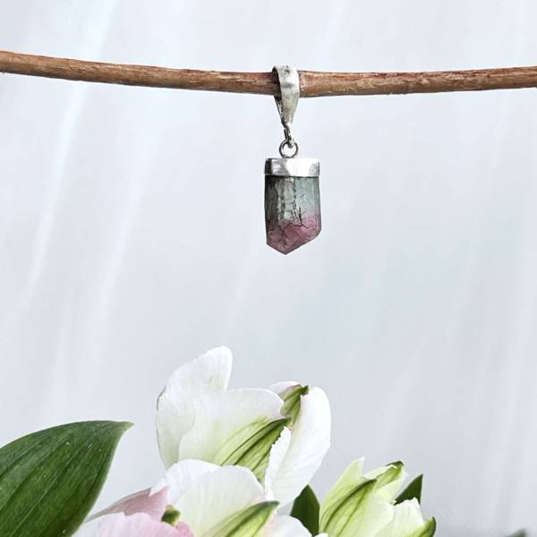 Watermelon tourmaline pendant