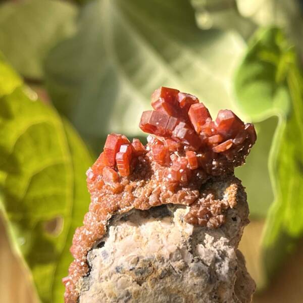 Vanadinite on gypsum - Image 6