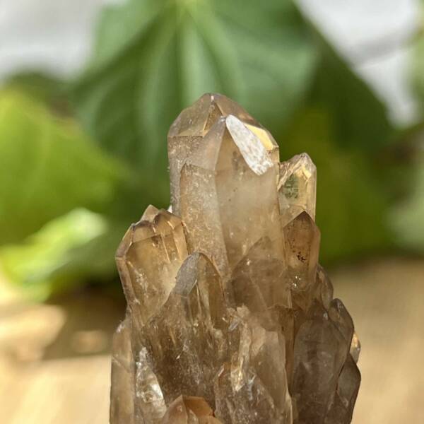 Citrine cluster - Image 7