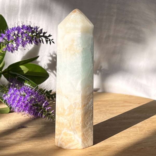 Caribbean calcite tower point