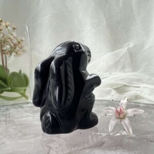 obsidian rabbit