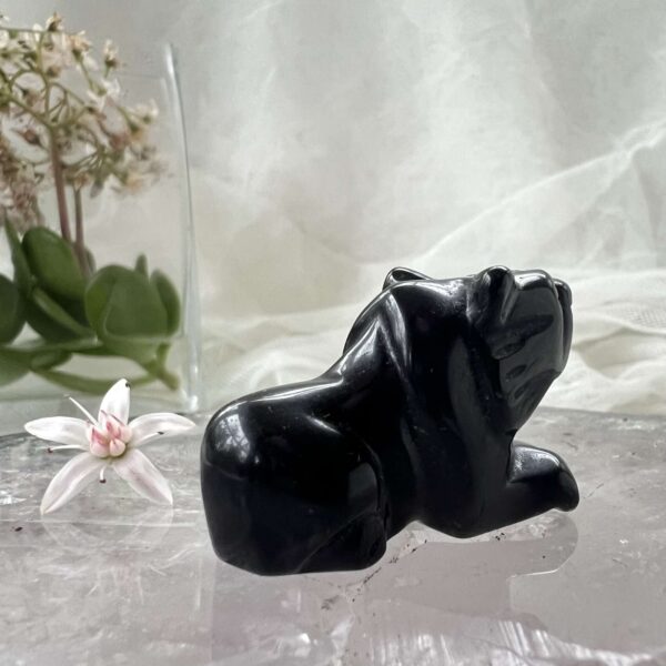 black obsidian lion