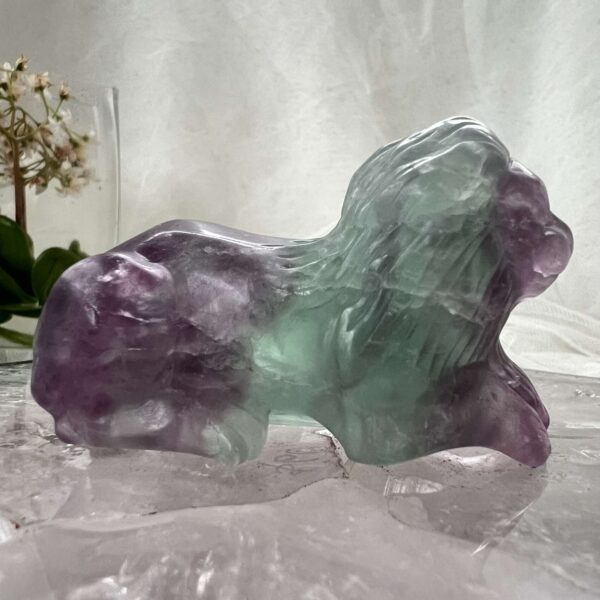 fluorite lion