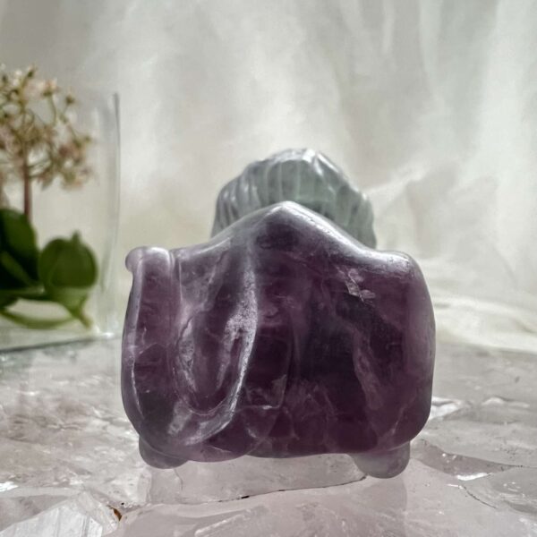 fluorite lion