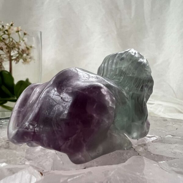 fluorite lion