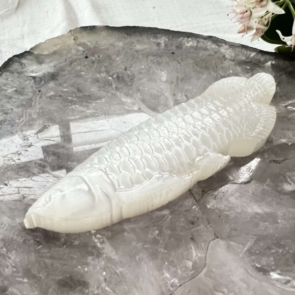 selenite fish