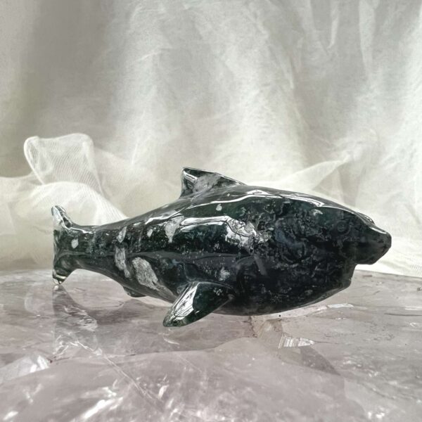 moss agate shark