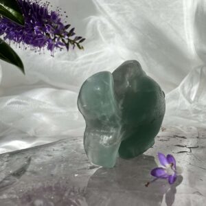 green fluorite fish