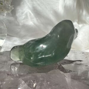 green fluorite seal