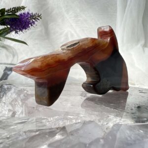 agate dolphin