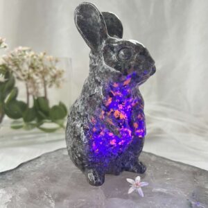 yooperlite rabbit