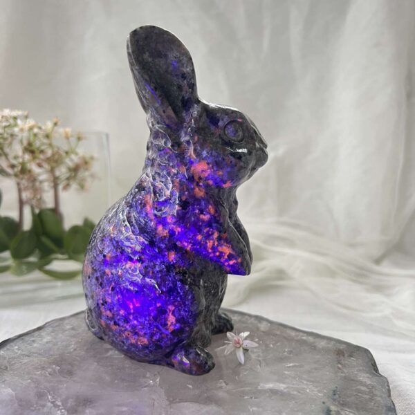 yooperlite rabbit