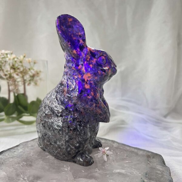 yooperlite rabbit