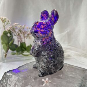 yooperlite rabbit