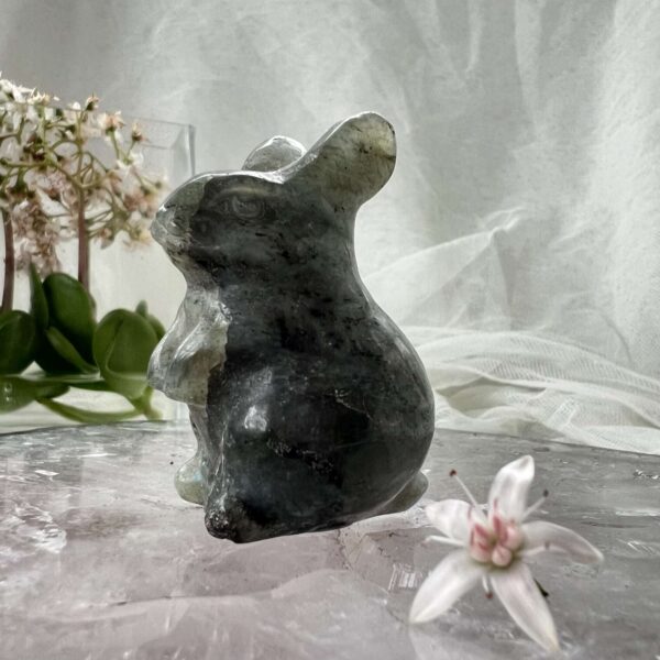 labradorite rabbit