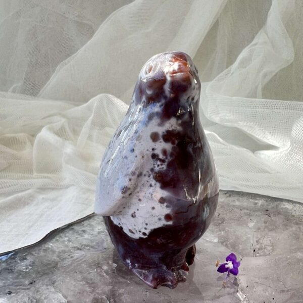 agate penguin