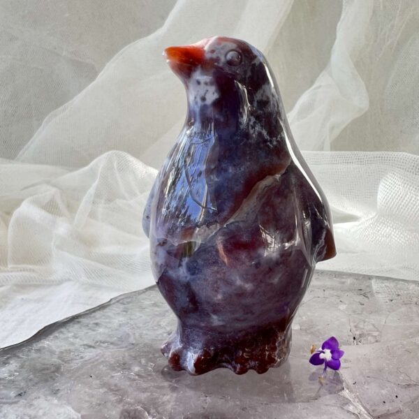 agate penguin