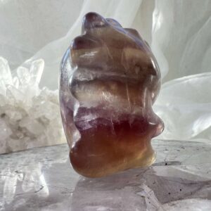 fluorite dinosaur