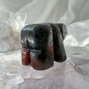 bloodstone bear