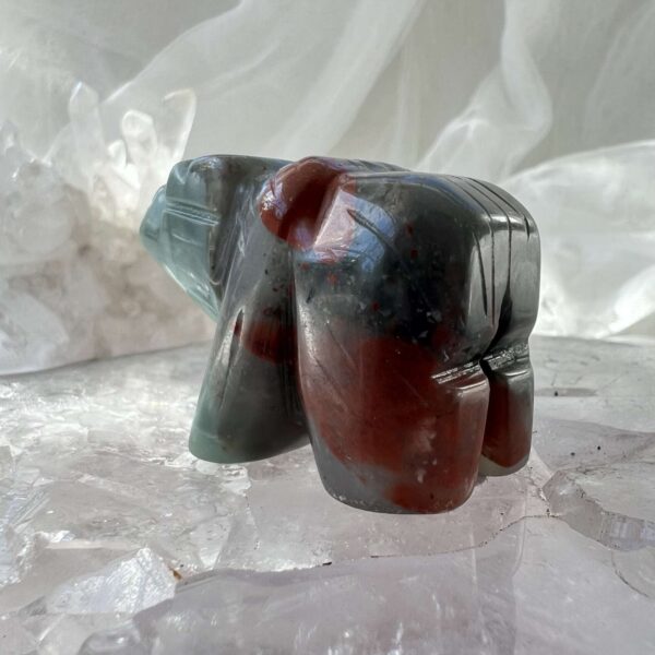 bloodstone bear