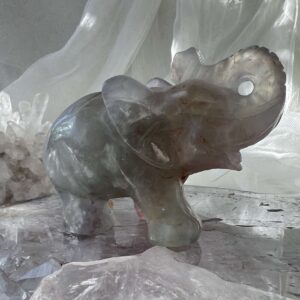 fluorite elephant