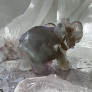 fluorite elephant