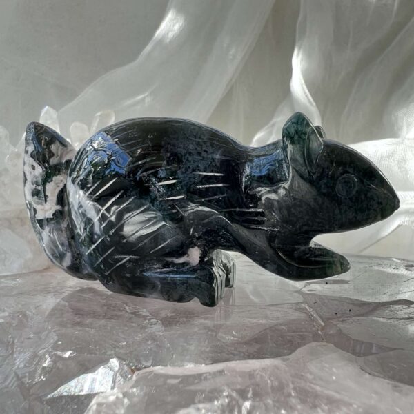 moss agate squirrel