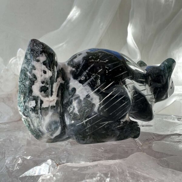 moss agate squirrel