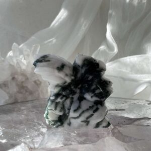 moss agate squirrel