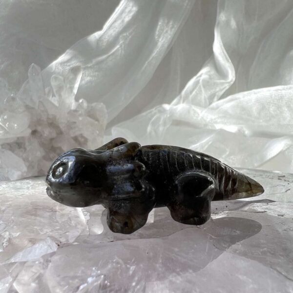 labradorite axolotl feldspar crystal animal online crystal shop