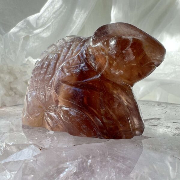 fluorite salamander carved animal home decor online crystal shop