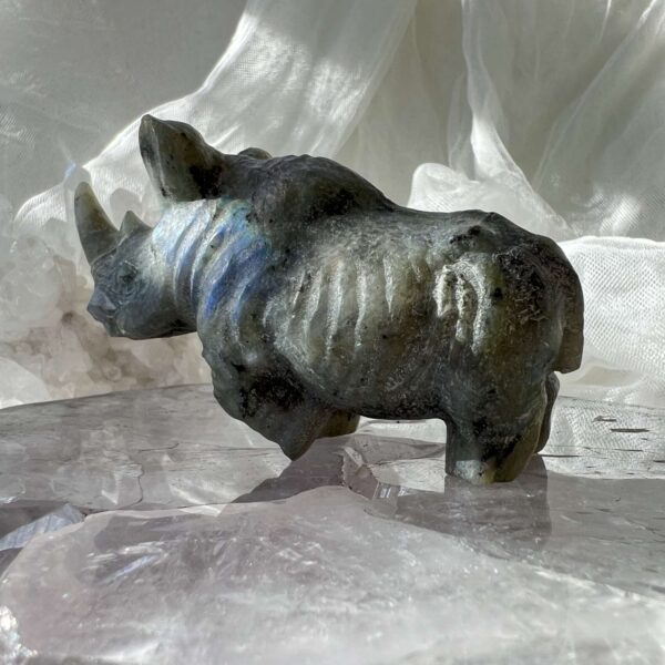 labradorite rhino