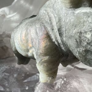 labradorite rhino