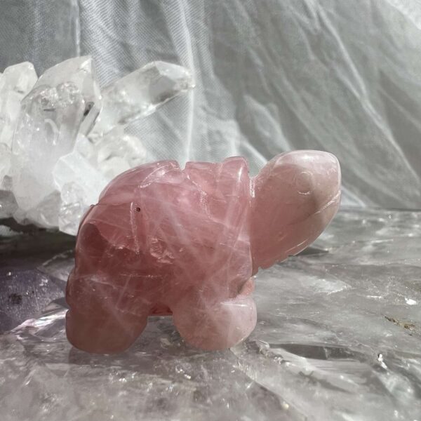 rose quartz tortoise