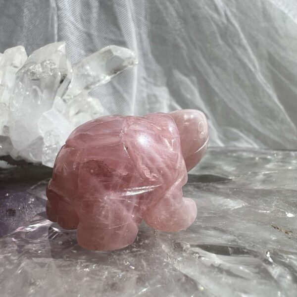 rose quartz tortoise