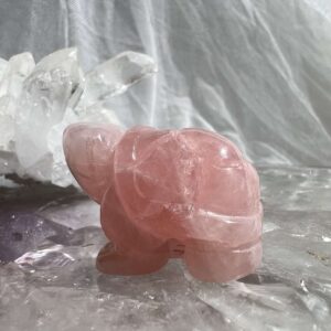 rose quartz tortoise