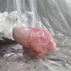 rose quartz tortoise