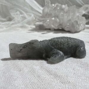 labradorite alligator