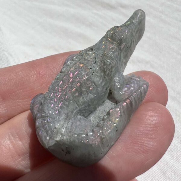 labradorite alligator