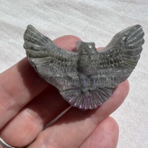 labradorite eagle