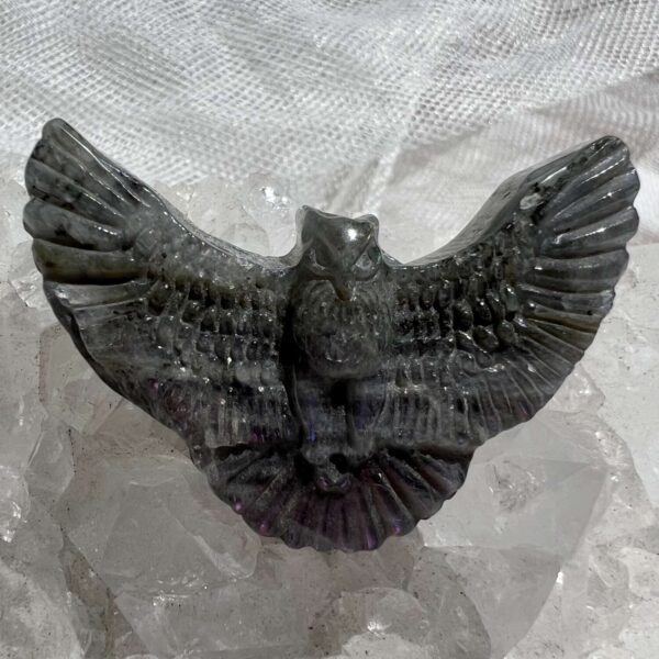 labradorite eagle