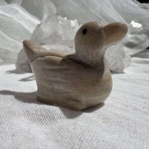 steatite duck