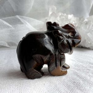 tiger eye elephant