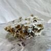 iron pyrite cubes in natural bedrock crystal specimen fools gold solar plexus chakra manipura