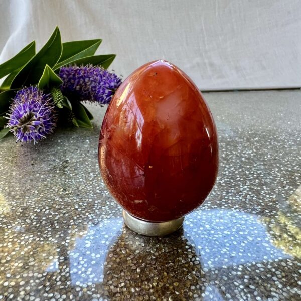 carnelian egg one off carved piece genuine carnelian online crystal shop NZ