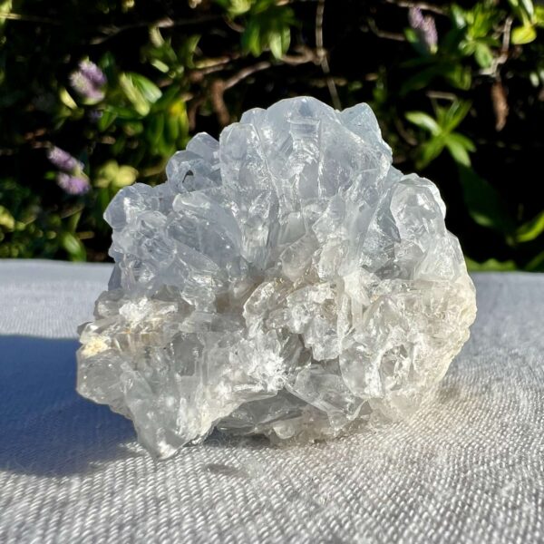 celestine cluster natural blue crystal throat vishuddha chakra celestite simple home decoration online crystal shop Aotearoa