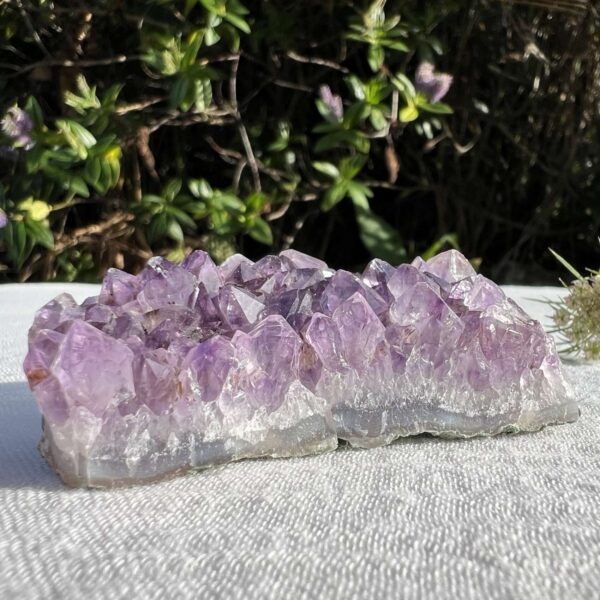 Amethyst cluster - Image 2