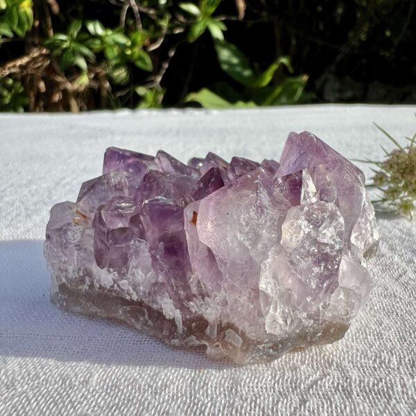 Amethyst cluster - Image 3