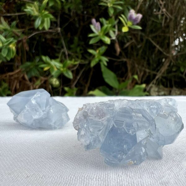 Celestine clusters natural blue crystal throat vishuddha chakra celestite simple home decoration online crystal shop Aotearoa